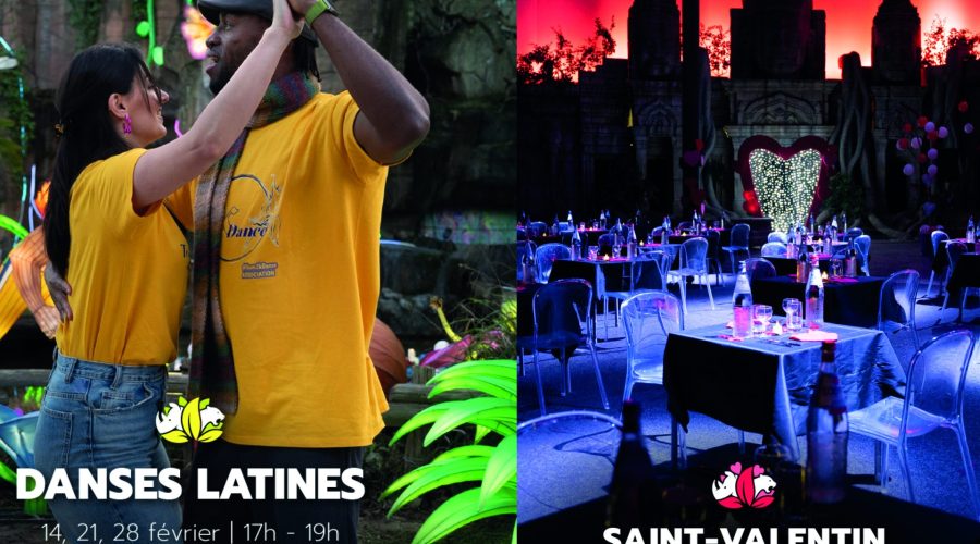 Tous au Zoo pendant les vacances !